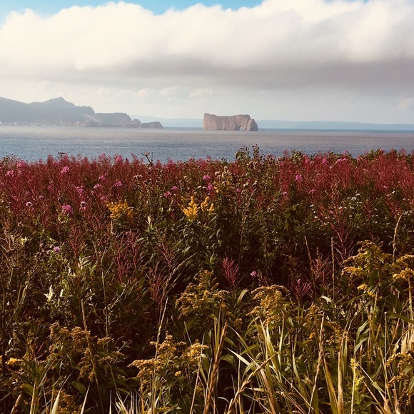 Meet your Posher, Leonie - Picture 1 of 1